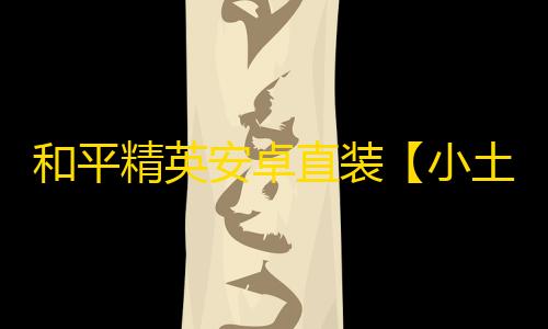 和平精英安卓直装【小土豆直装】辅助